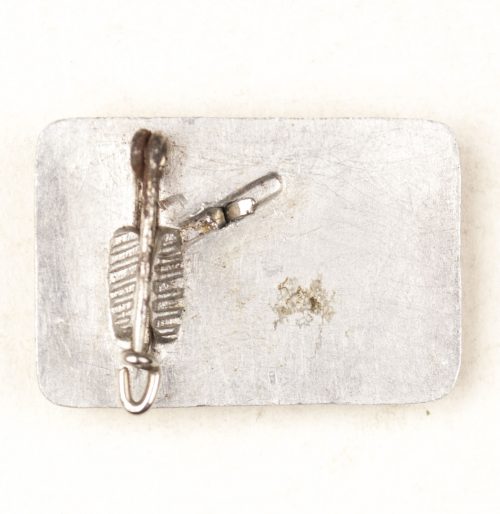 Deutschland Hilft Luftsport (Barnstein badge)