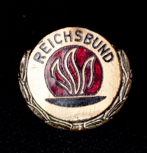 Reichsbund der Kriegsbeschädigten und Kriegsteilnehmer badge + photo in wear