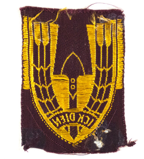 (NSB) Nederlandsche Arbeidsdienst (NAD visor cap badge