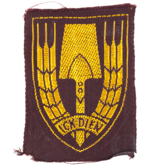 (NSB) Nederlandsche Arbeidsdienst (NAD visor cap badge