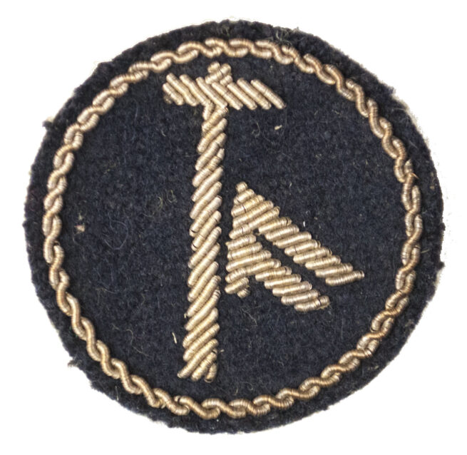 (Norway) specialist cloth badge with rune