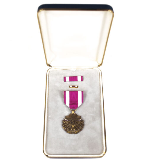 (USA) Meritorious Service medal + case