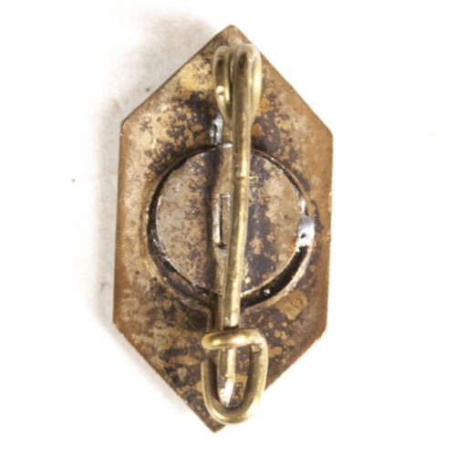 VDA (Volksbund für Deutschtum im Ausland) memberbadge