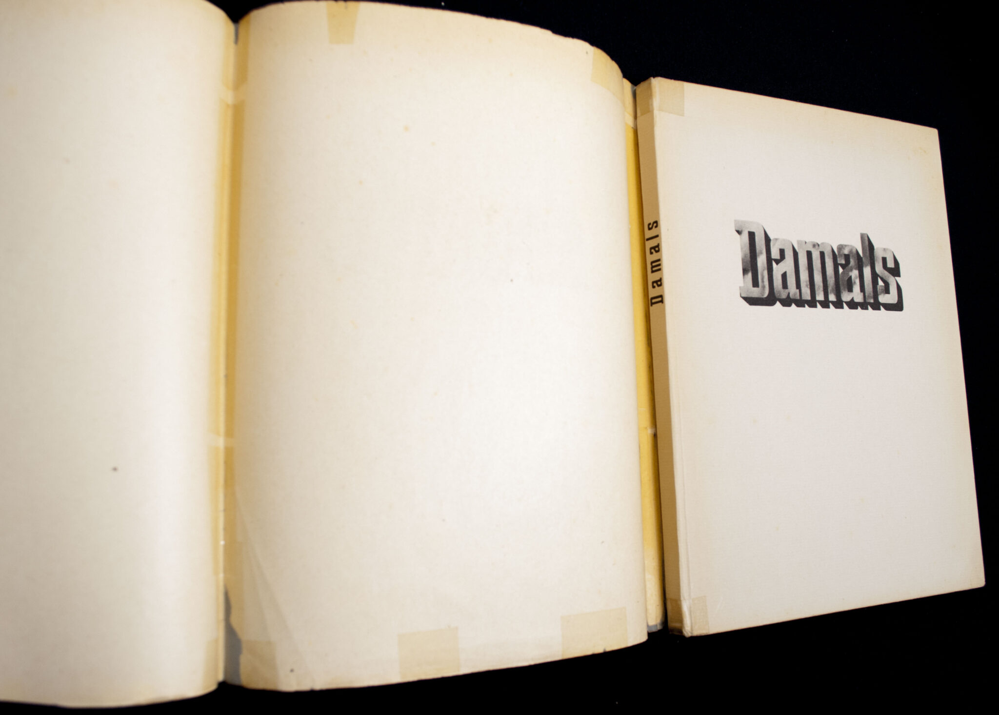 (Book) SS-Totenkopf-Division - Damals (1940)