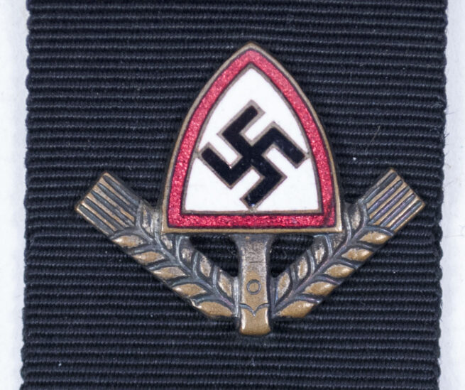 Reichsarbeitsdienst (RAD) Bierzipfel - Emsland 5 Gruppe 1182