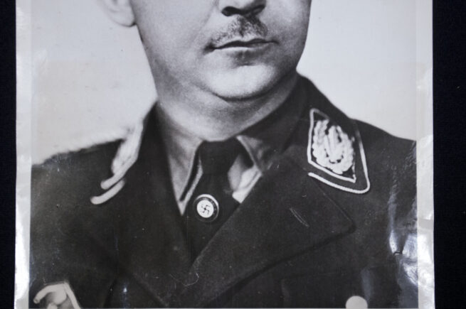 (Pressphoto) Heinrich Himmler portrait (21,5x17 cm) 1945