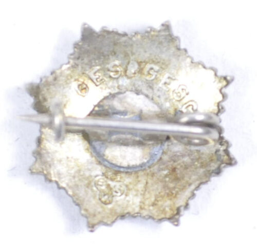 Reichsluftschutzbund (RLB) memberbadge first type