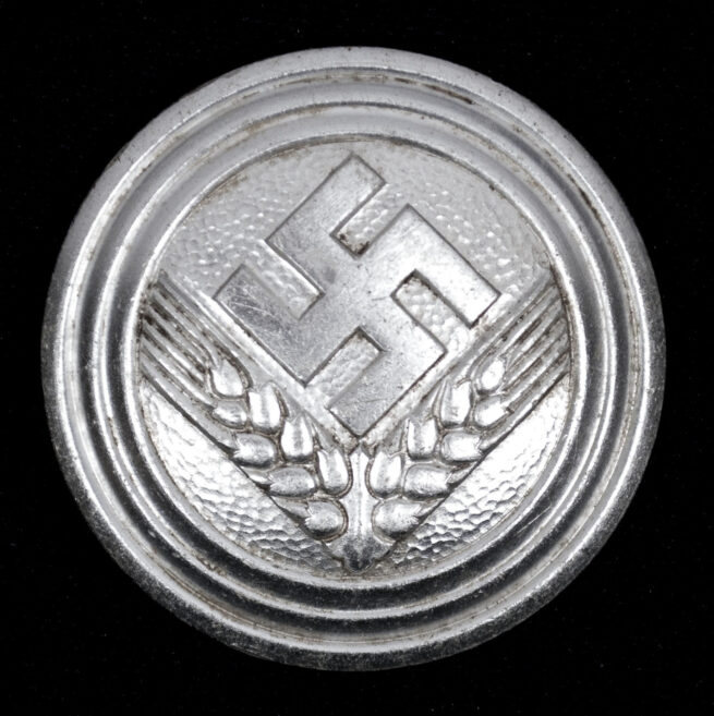 Reichsarbeitsdienst (RAD) Female “Maidenoberführerin” Brooch (Maker Assmann)