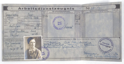 Reichsarbeitsdienst der Weiblichen Jugend (RADWJ) Arbeitsdienstzeugnis with passphoto