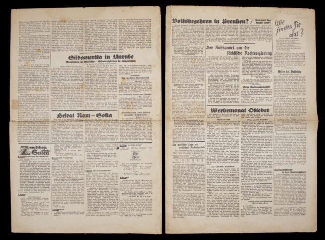 (Newspaper) Der Nationale Sozialist (1930) - RARE!