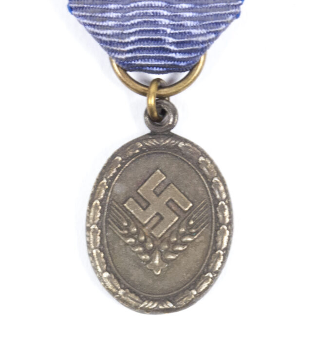 Miniature medal Reichsarbeitsdienst Dienstauszeichnung in silver 12 years (for women)