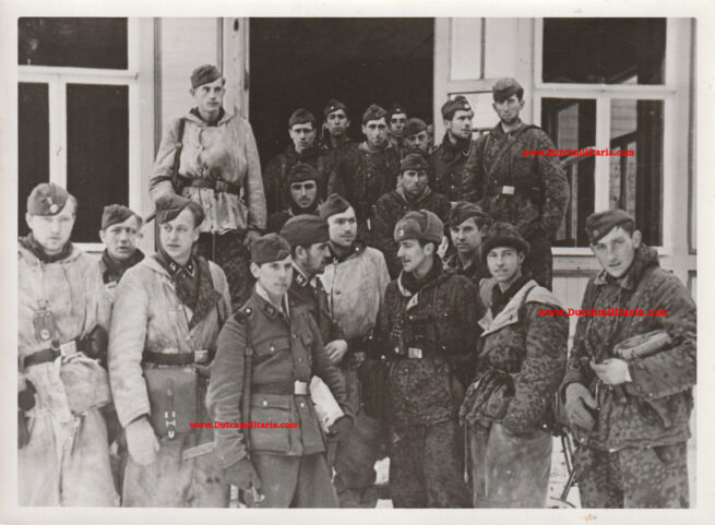 SS-Photo Hoffmann Nordfront Wieder bei Ihren Alten Kameraden (19 x 13,5 cm)