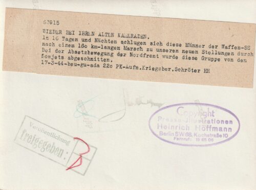 SS-Photo Hoffmann Nordfront Wieder bei Ihren Alten Kameraden (19 x 13,5 cm)