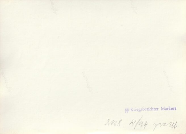 (Pressphoto) Unpublished Hitlerjugend groupphoto by SS Kriegsberichter (18 x 13 centimeters)