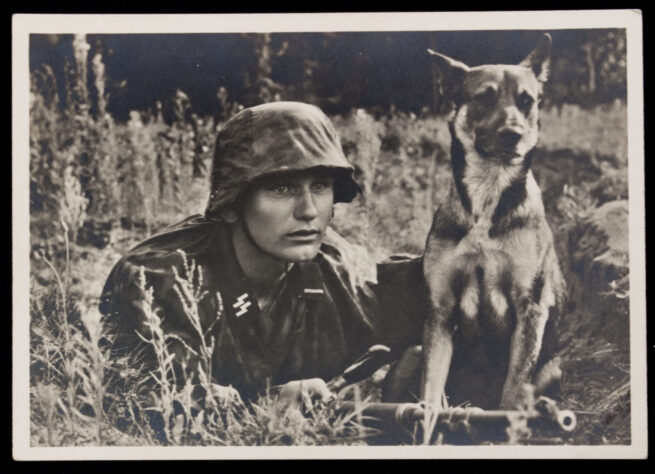 (Postcard) Unsere Waffen-SS Der Melder und sein Hund