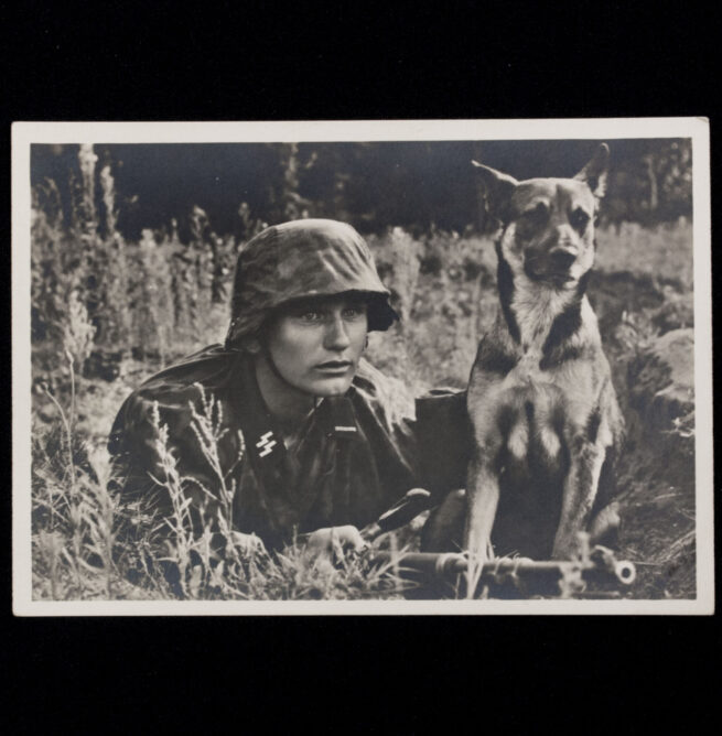 (Postcard) Unsere Waffen-SS Der Melder und sein Hund