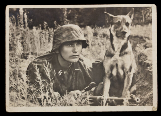(Postcard) Unsere Waffen-SS Der Melder und sein Hund