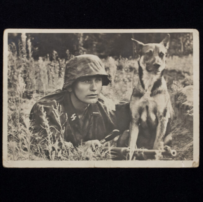 (Postcard) Unsere Waffen-SS Der Melder und sein Hund