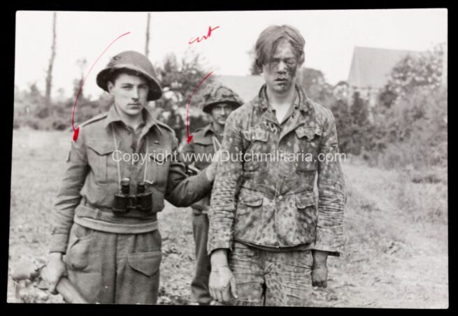 (Pressphoto) Iconic captured Normandy 12.SS-Panzer-Division Hitlerjugend member photo (15,4 x 10 cm) - very rare