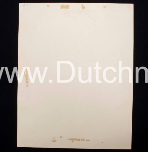 (Photo) Reichsführer SS Himmler (very large portrait 30x24 cm) Photo Verlag Röhr, Magdeburg - Rare