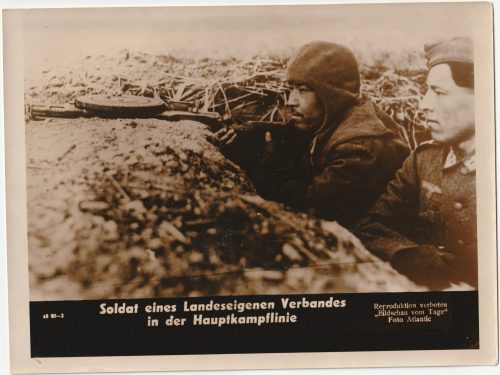 (Pressphoto) Soldaten eines Landeseigenen Verbandes in der Hauptkampflinie (24x18cm)