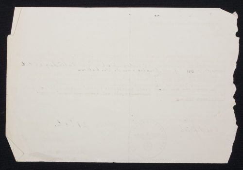 (Document) Beutepferde-Sammelstelle 3 - Leiden October 1941