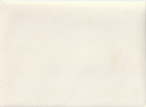 (Pressphoto) Aus Anlass des Geburtstages des Führers sprach der Stellvertreters des Führers Reichsminister Rudolf Hess am 20.4. zur deutschen Jugend