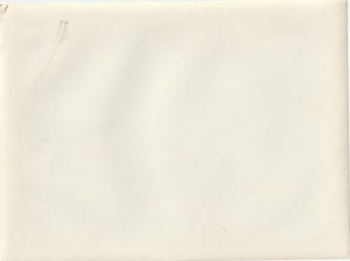 (Pressphoto) Reichsminister Speer bei den Panzern