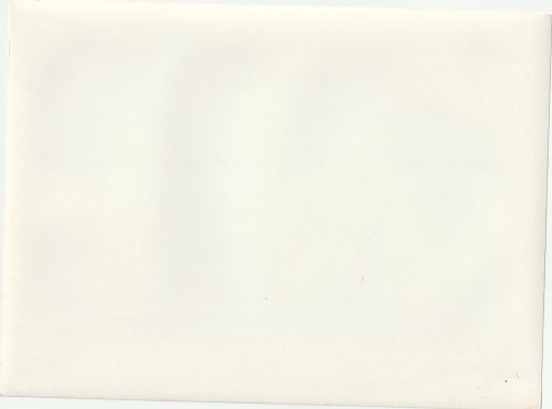 (Pressphoto) Der Chef der Zivilverwaltung für Luxemburg, Gauleiter Simon, nimmt den Vorbeimarsch deutscher Polizei ab (24x18cm)