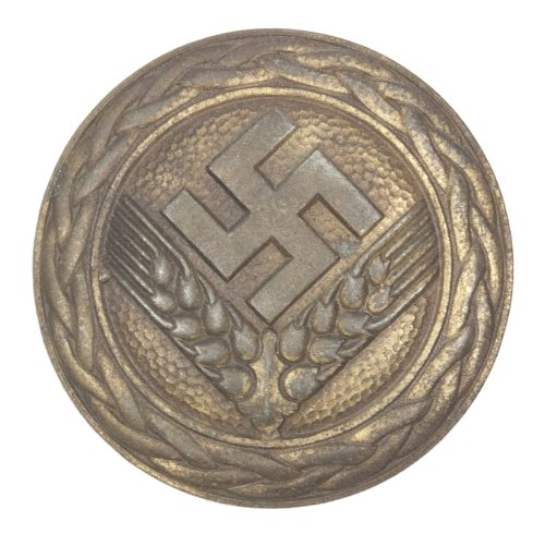 Reichsarbeitsdienst der weiblichen Jugend ( RADwJ ) - Brosche für Maidenführerin