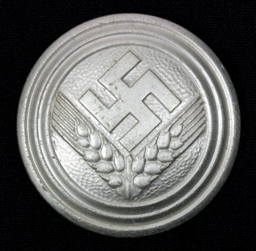 Reichsarbeitsdienst der weiblichen Jugend ( RADwJ ) - Brosche für Maidenoberführerin (Maker Assmann)