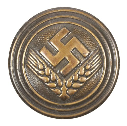 Reichsarbeitsdienst der weiblichen Jugend ( RADwJ ) - Brosche für Maidenunterführerin