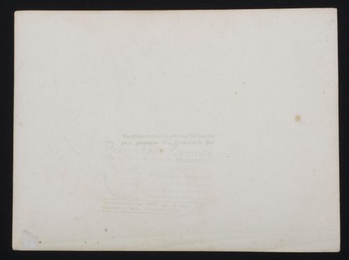 (Pressphoto) Der Führer Adolf Hitler parade with von Mackensen + Goerring + etc (Large size 24,5x18 cm)