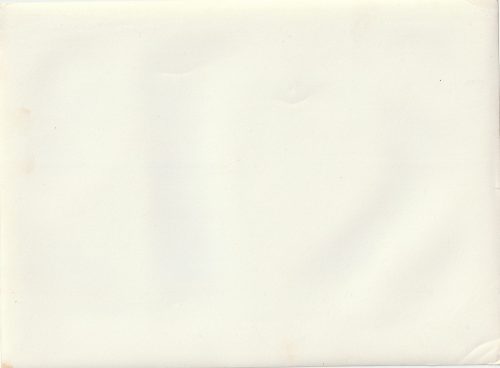 (Pressphoto) Im hohen Norden sind die Polarhunde die treuen Helfer unserer Gebirgsjäger (24x18cm)