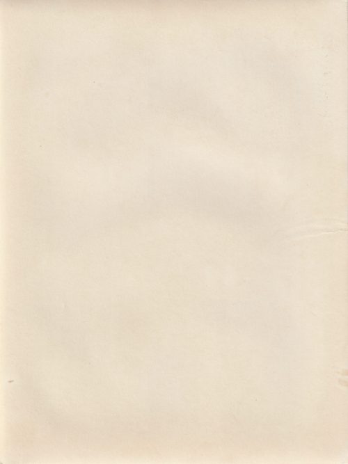 (Pressphoto) Reichminister Speer, Generalfeldmarschall Milch und GFeneralmajor Galland nach der Vorführung neuer Waffen (24x18cm)