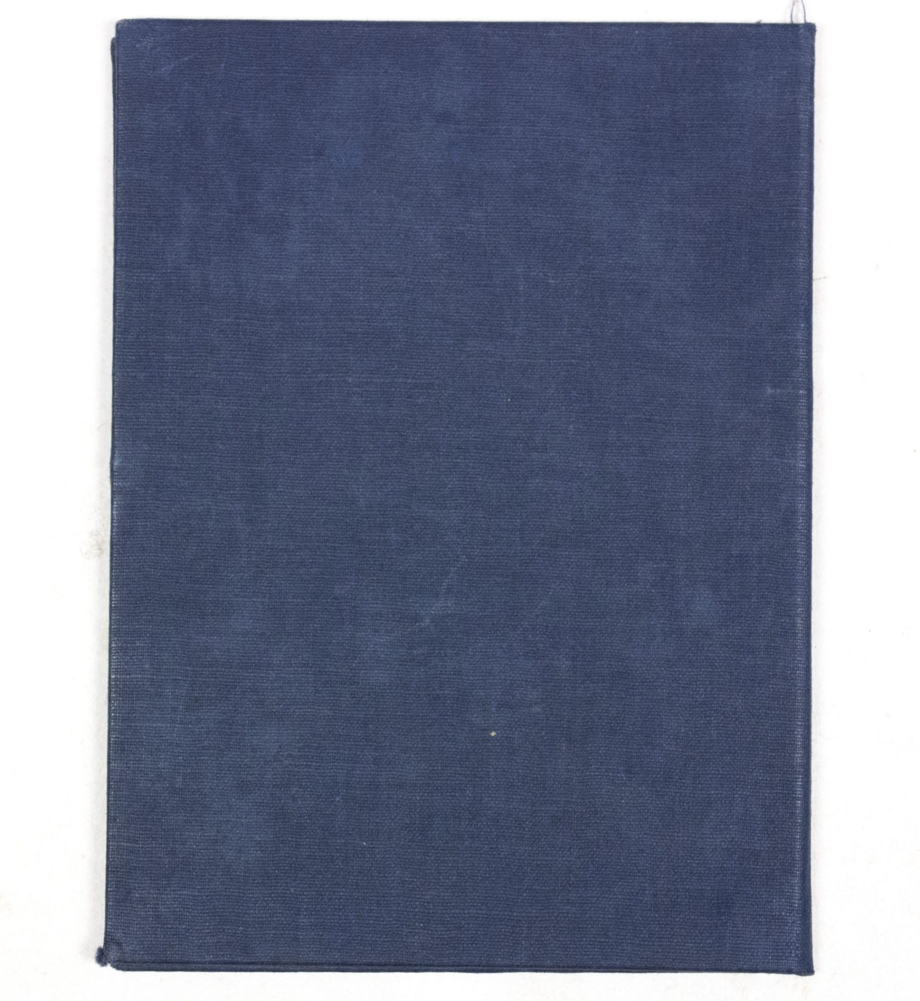 Arbeitsbereich der NSDAP in den Niederlande Ausweis - RARE