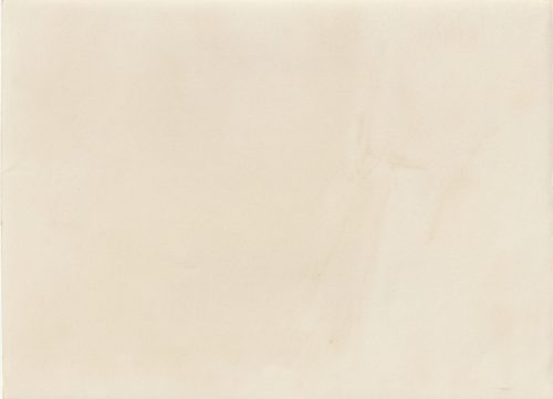 (Pressphoto) {ferde-Biwak der Reiter-SA (24x18cm)