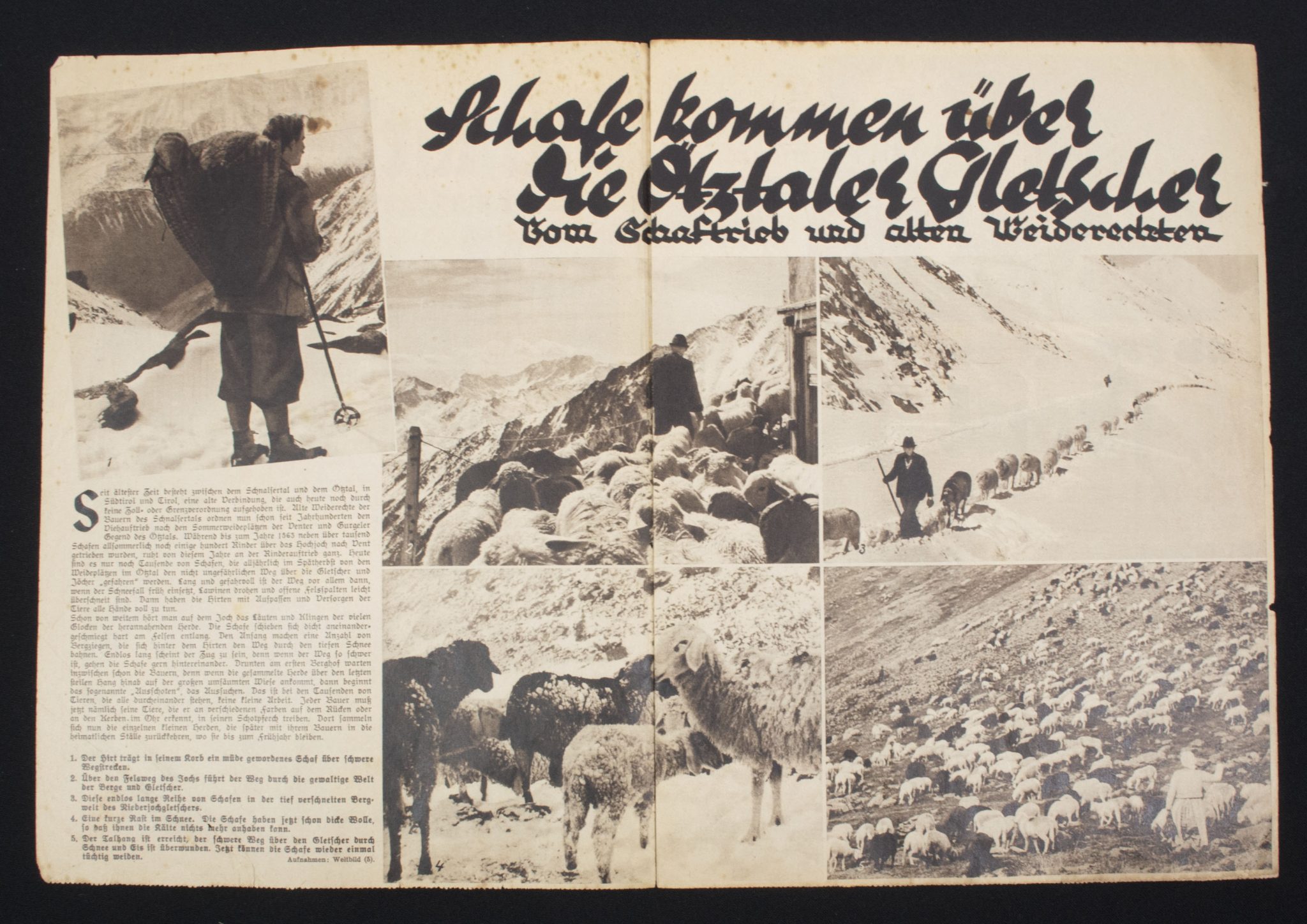 (Magazine) Ostmark-Woche (with DRK artikel inside) (2)