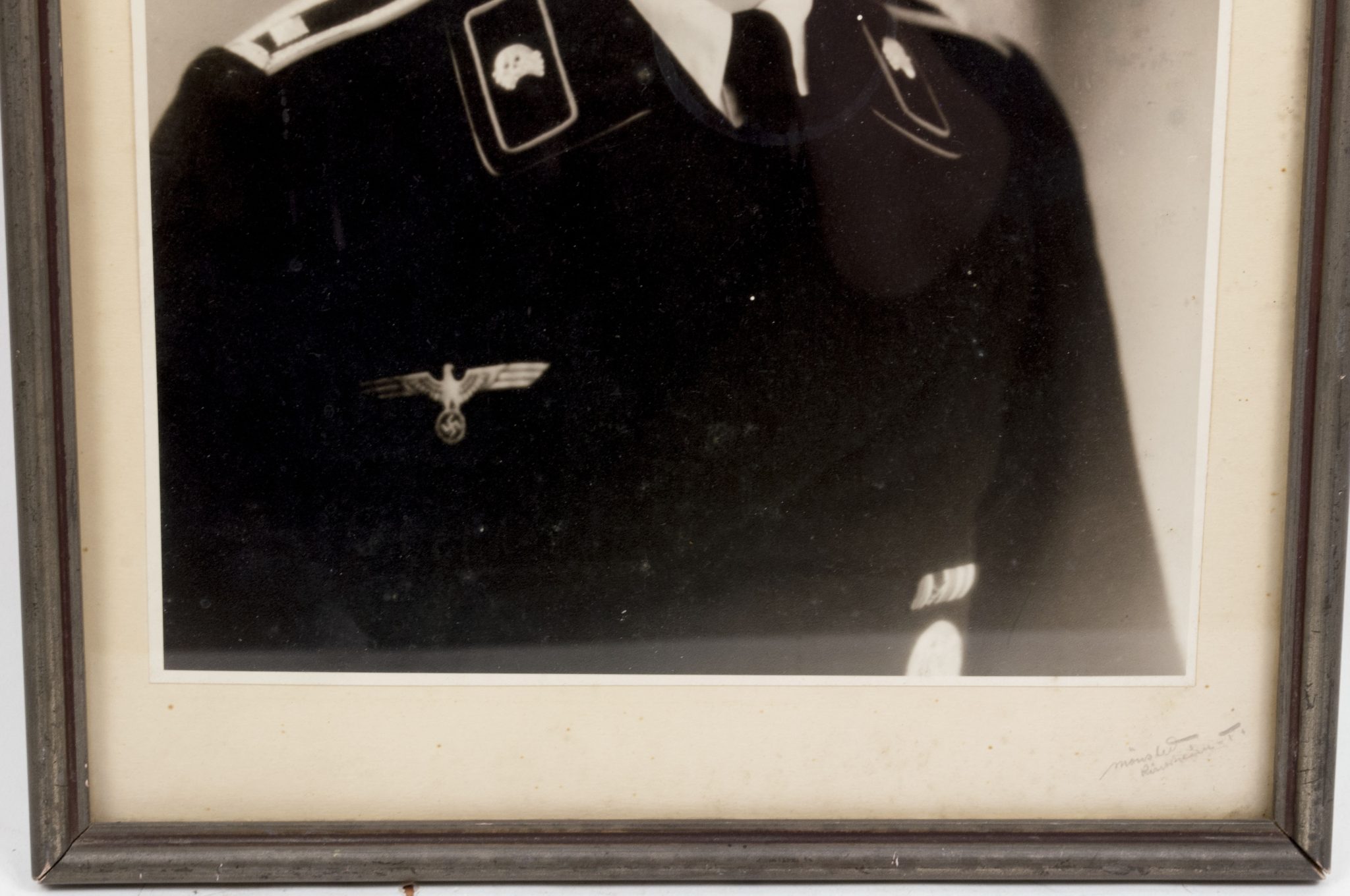 (Photo) Large framed Panzer portrait (36 x 29 cm)