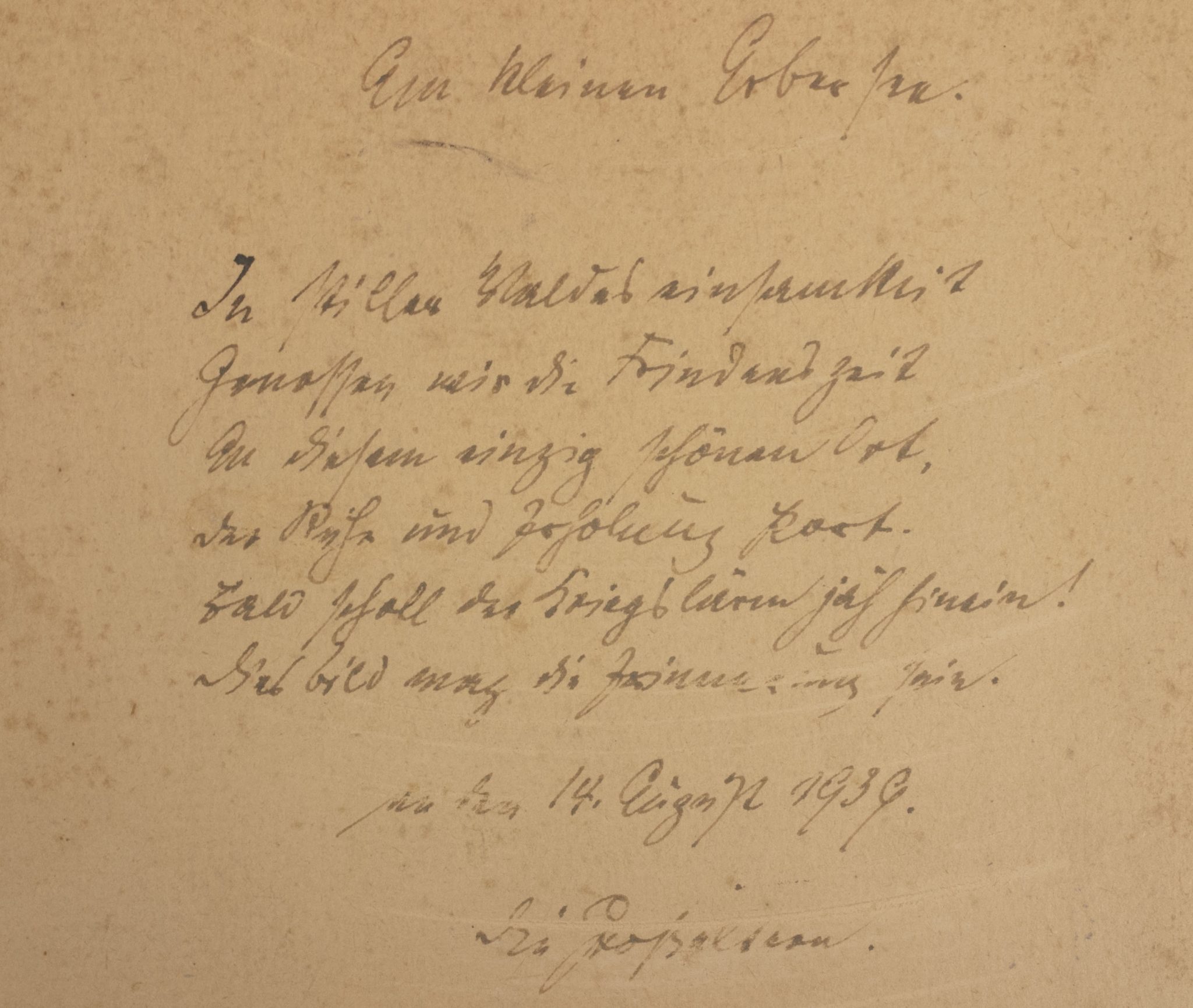 (Photo) Large framed Panzer portrait (36 x 29 cm)