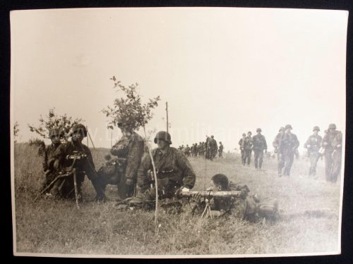 (Pressphoto) SS-Panzergrenadier Regiment Der Führer (24 x 18 cm)