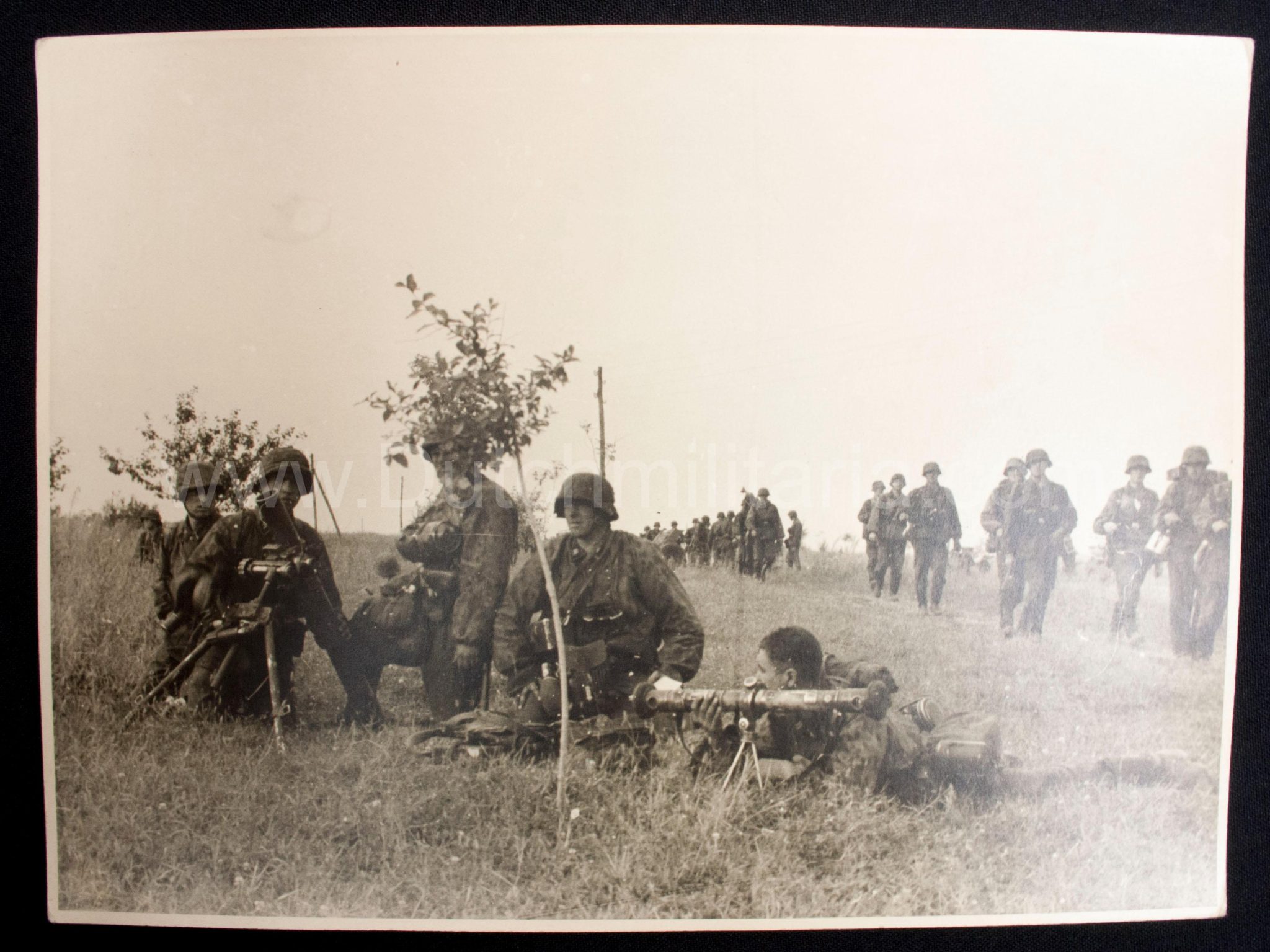 (Pressphoto) SS-Panzergrenadier Regiment Der Führer (24 x 18 cm) (1)