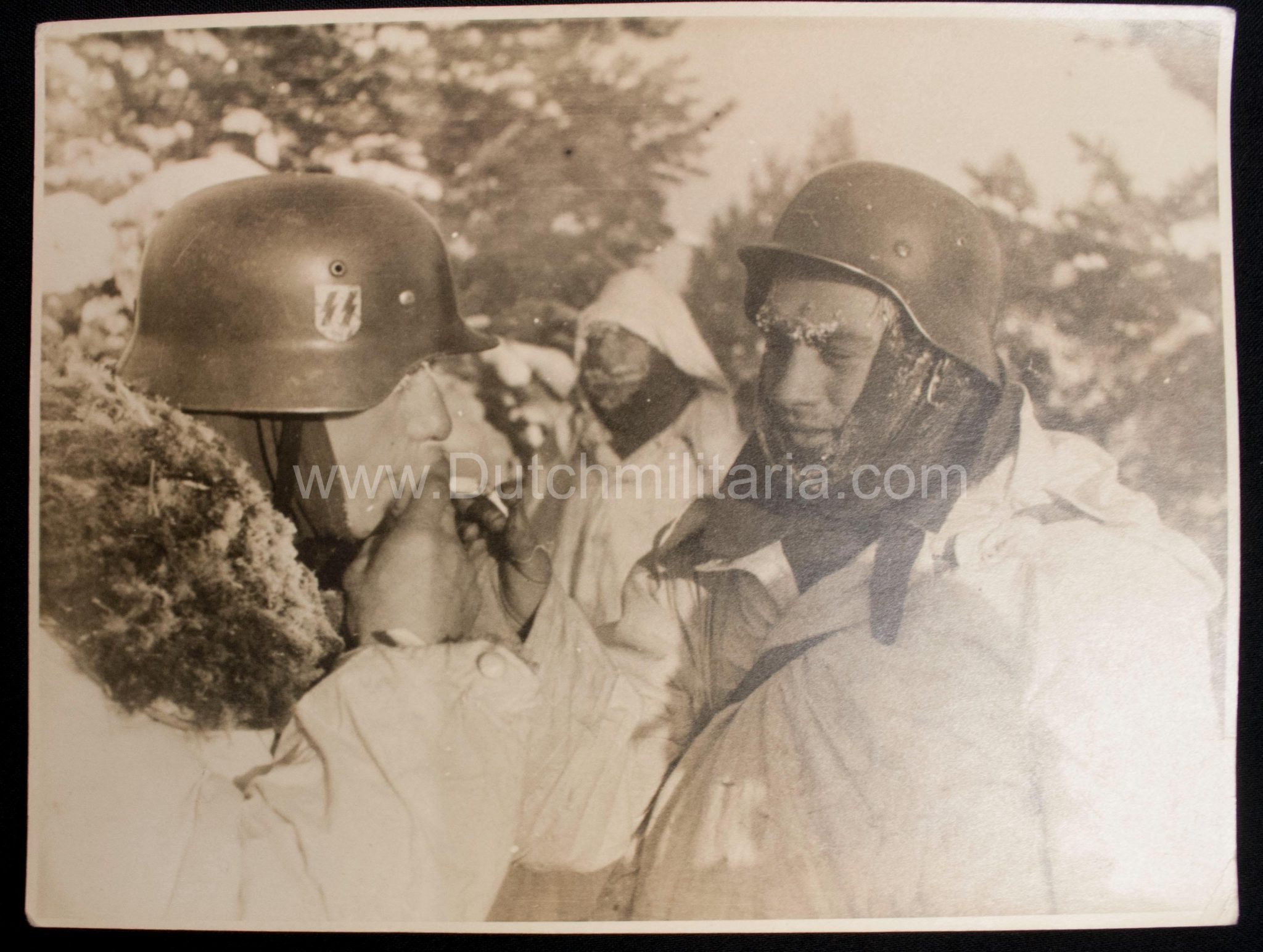 (Pressphoto) SS-Panzergrenadier Regiment "Der Führer" (SS Helmet) (24 x 18 cm) - Image 11
