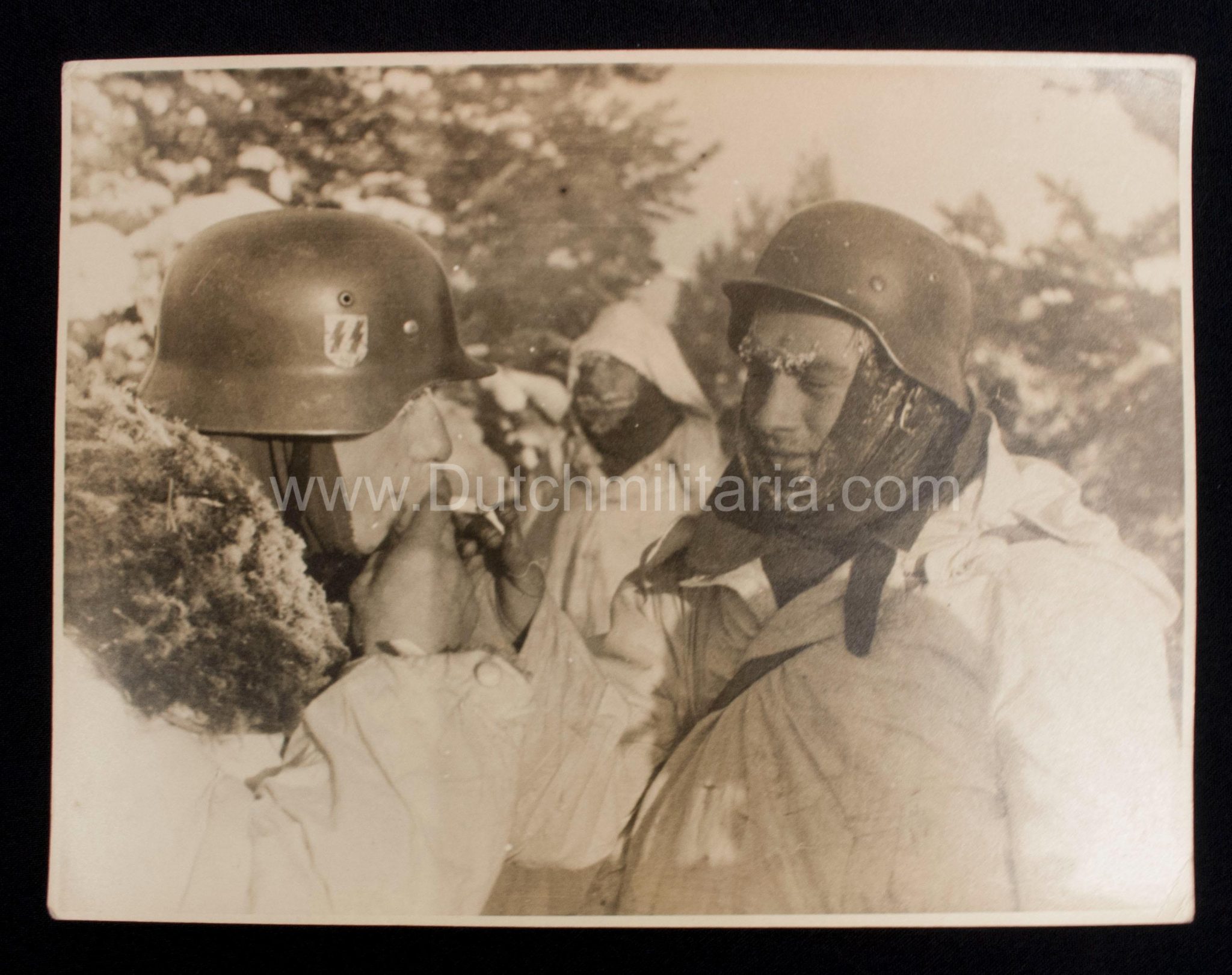 (Pressphoto) SS-Panzergrenadier Regiment "Der Führer" (SS Helmet) (24 x 18 cm) - Image 4