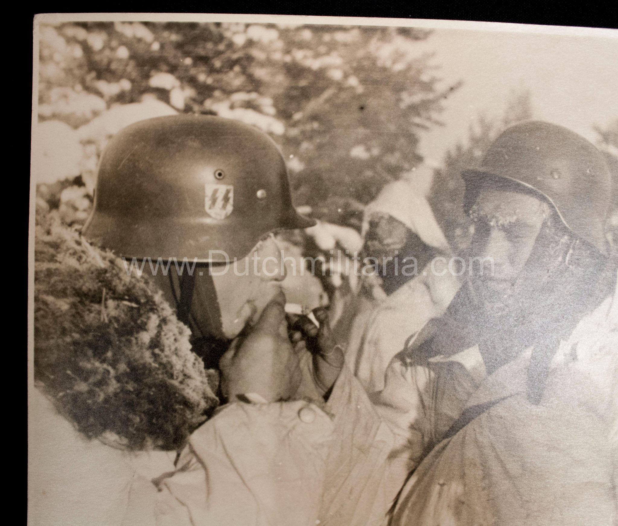 (Pressphoto) SS-Panzergrenadier Regiment "Der Führer" (SS Helmet) (24 x 18 cm) - Image 6