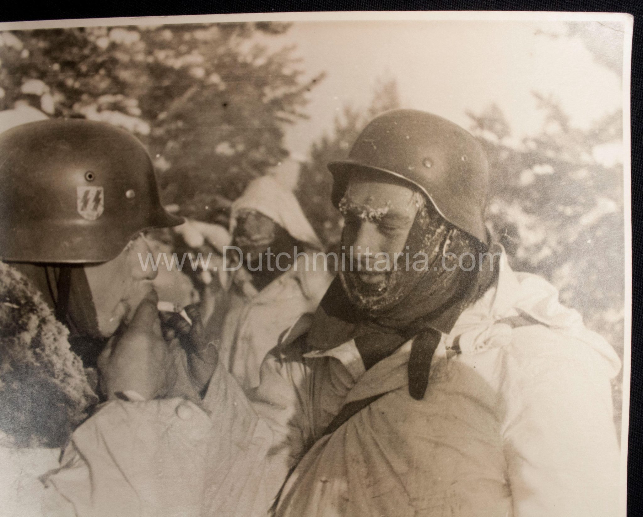 (Pressphoto) SS-Panzergrenadier Regiment "Der Führer" (SS Helmet) (24 x 18 cm) - Image 7