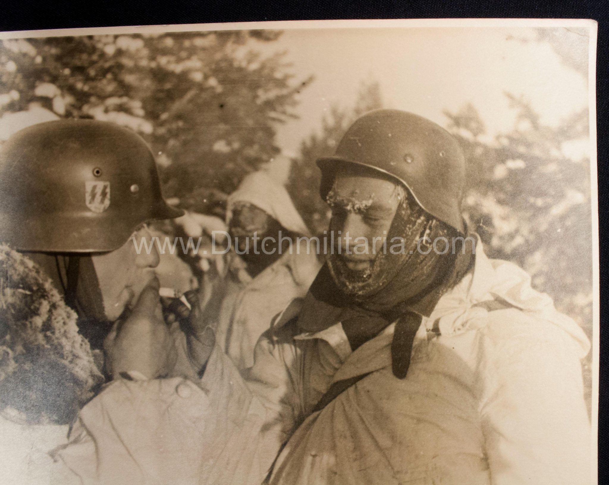 (Pressphoto) SS-Panzergrenadier Regiment "Der Führer" (SS Helmet) (24 x 18 cm) - Image 8