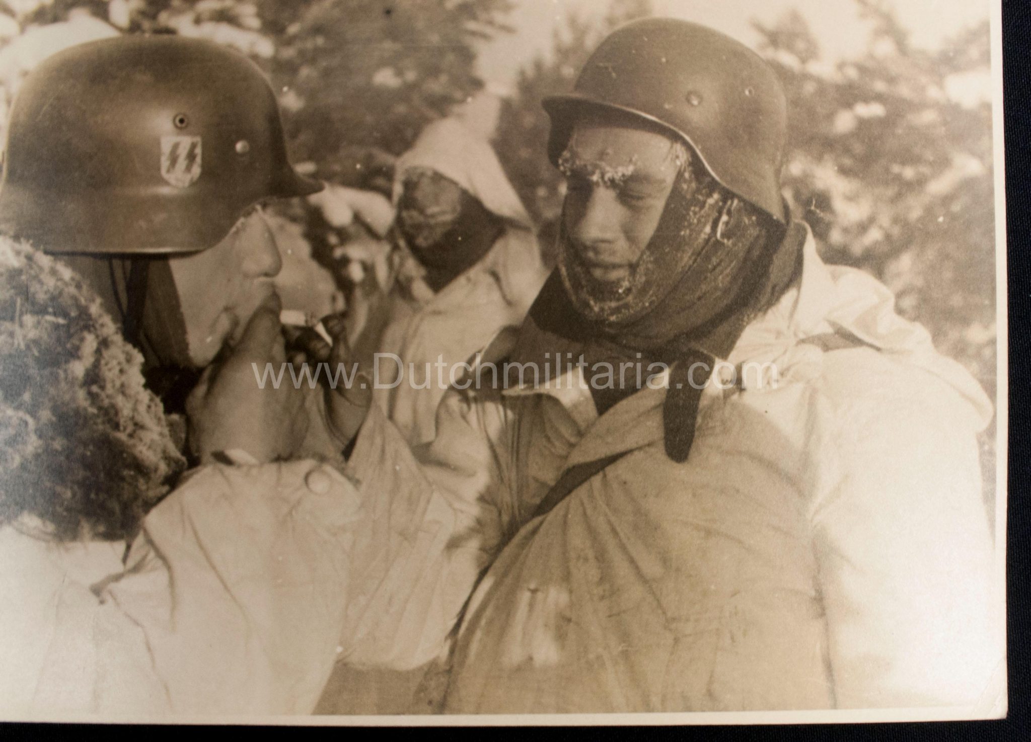 (Pressphoto) SS-Panzergrenadier Regiment "Der Führer" (SS Helmet) (24 x 18 cm) - Image 9