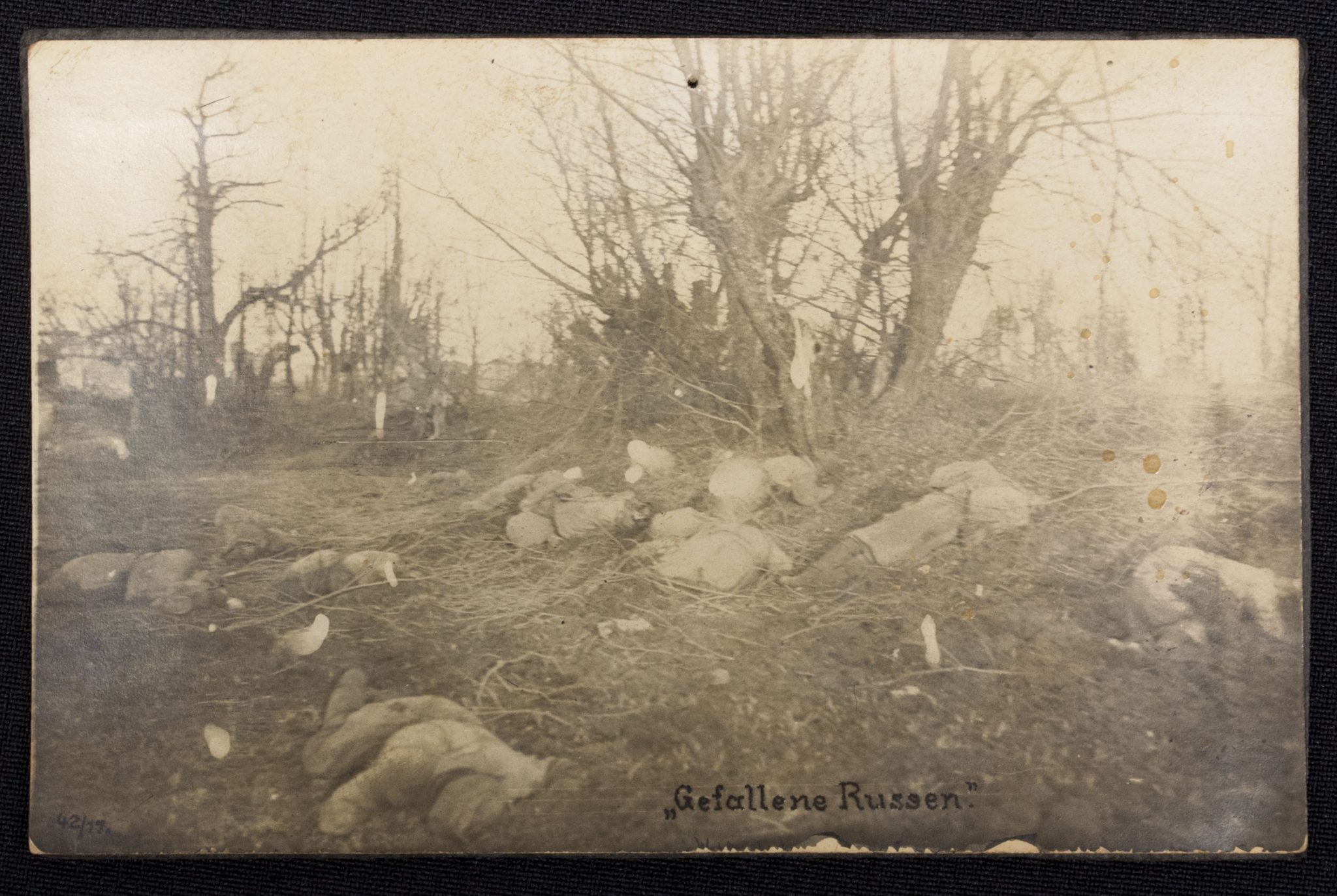 WWI NAMED AEF 2nd Infantry Division - 23rd Ambulance Company grouping - RARE - Image 182