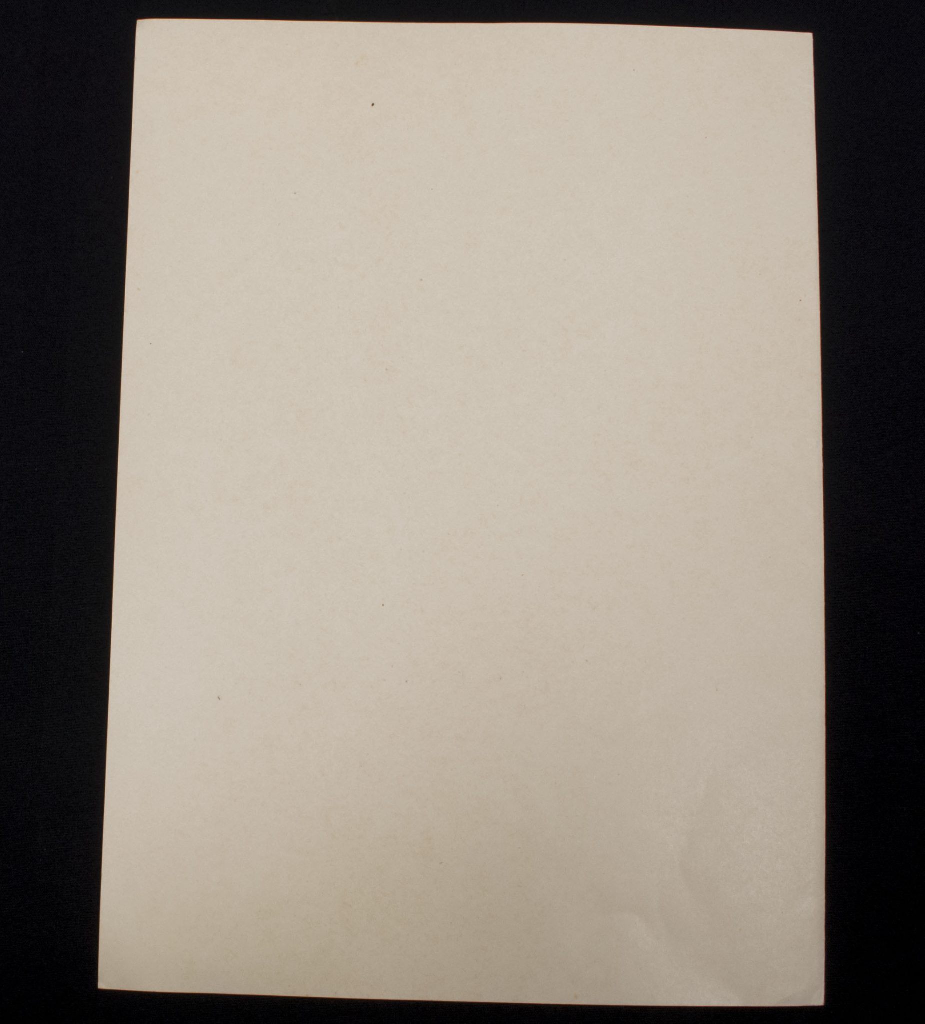 Promotional document (Ernennungsurkunde) Studienassessor Adolf Giesecke signed Führer Hauptquartier 1942 - Image 12